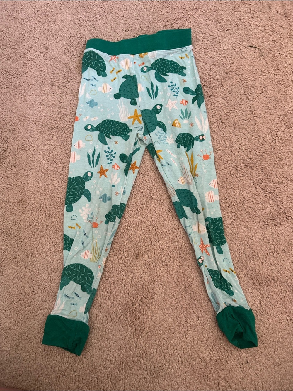 Little Sleepies Sea Turtle Print Pajama Set - Picture 3 of 3